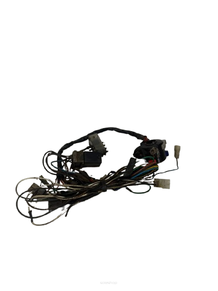 Przełącznik zespolony z wiązką Kawasaki