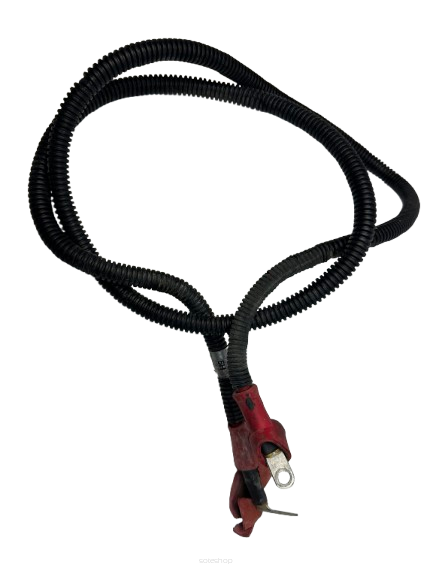 Plusowy Przewód Can-Am