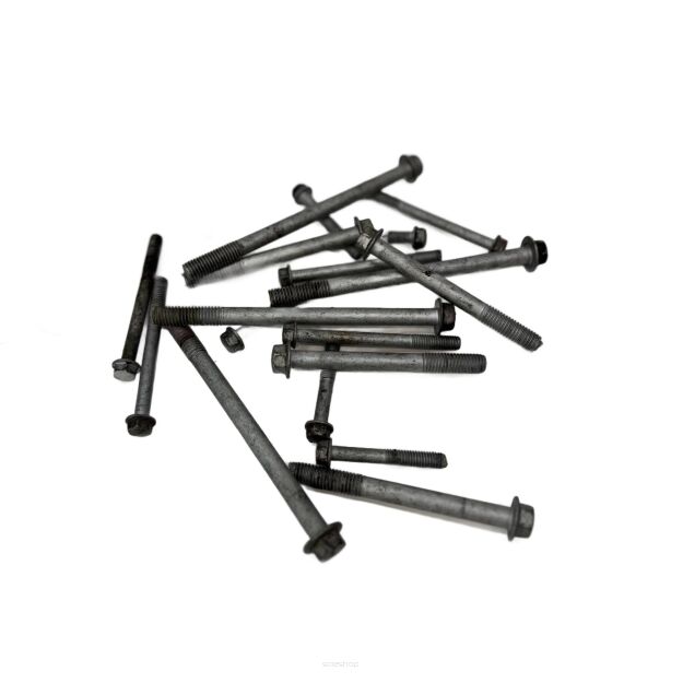 Komplet śrub silnika Kawasaki