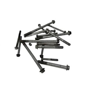 Komplet śrub silnika Kawasaki