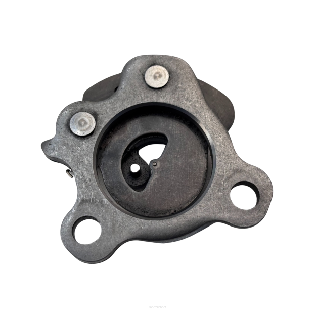 Dekompresator wałka rozrządu Yamaha Raptor 700 Oem 1S3-12280-01-00