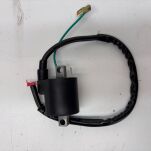 Cewka zapłonowa Polaris - 2