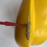 Przedni plastik błotnika Yamaha - 5