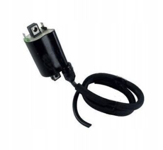 Cewka zapłonowa DZE 700.09.00