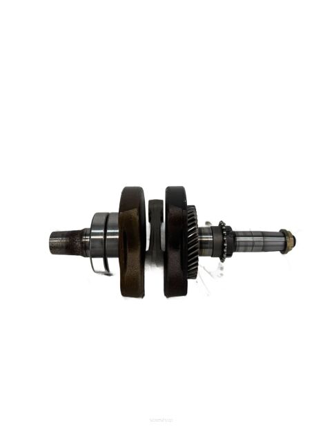 Wał Korbowy Polaris