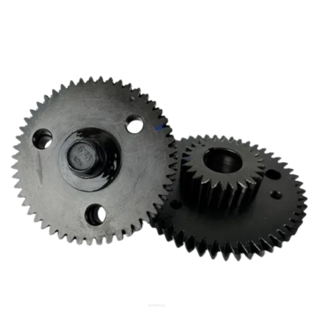 Zębatki rozrządu Polaris