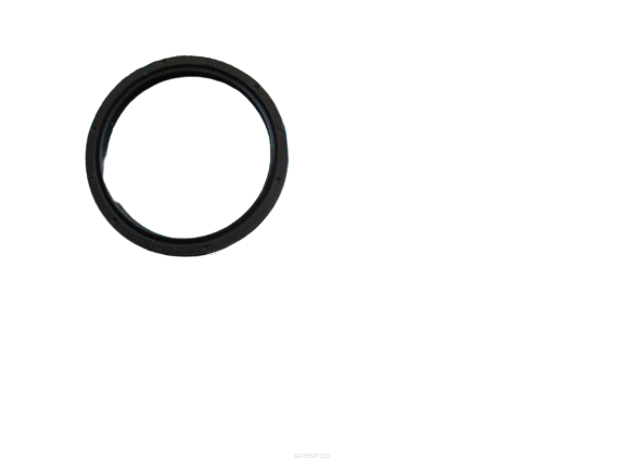 Uszczelniacz wariatora CF Moto