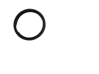 Uszczelniacz wariatora CF Moto