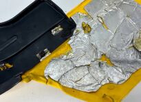 Lewy boczek plastik Can-Am - 9