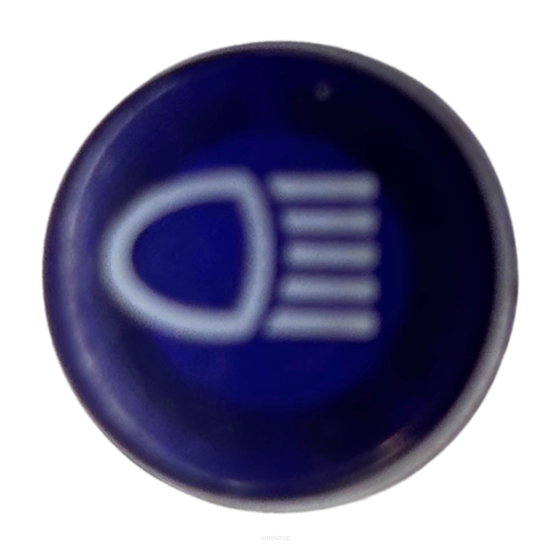 Kontrolka świateł Polaris