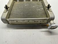 Chłodnica Can-Am - 7
