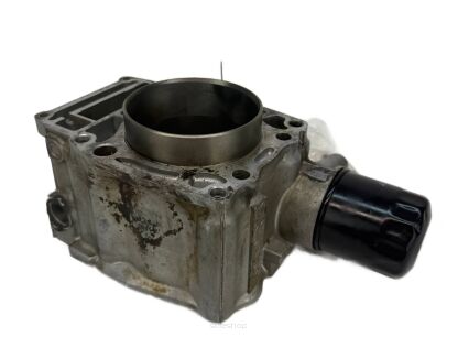 Cylinder z tłokiem Polaris Sportsman