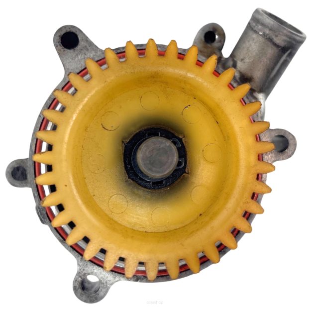 Pompa wody Yamaha Raptor