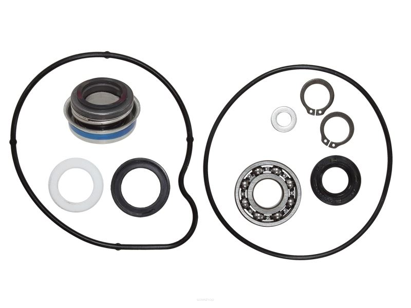 Zestaw naprawczy pompy wody Yamaha YFM 660R Raptor 2001-2005 AT-10099